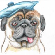 Artistic Pug in Watercolour Pencils by Derwent